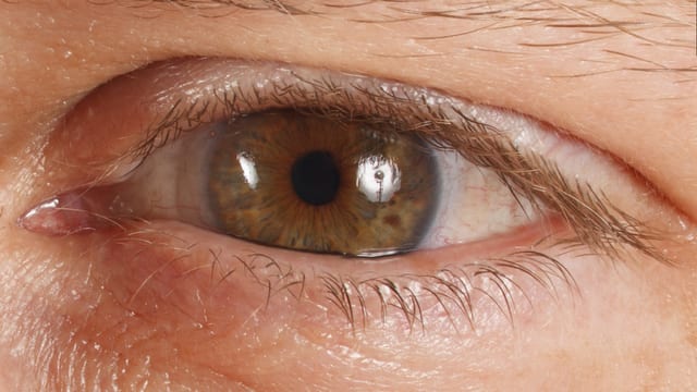Das Bild zeigt ein Auge des Models. Das Bild zeigt ein Auge des Models.