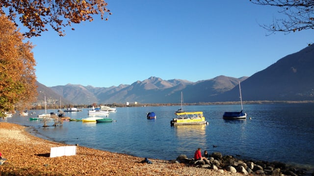 Im Tessin war vor allem der Spätherbst sehr trocken. Der Pegelstand war im November am Lago Maggiore sehr tief. Im Tessin war vor allem der Spätherbst sehr trocken. Der Pegelstand war im November am Lago Maggiore sehr tief.