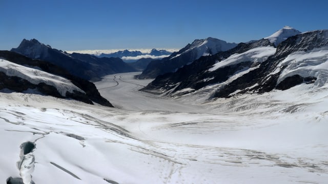 Blick vom Jungfraujoch auf den Aletschgletscher Blick vom Jungfraujoch auf den Aletschgletscher