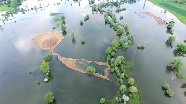 Bei Maschwanden trat die Reuss über die Ufer. Bei Maschwanden trat die Reuss über die Ufer.