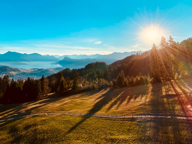 Blick über Wiese und Wald zu den Bergen und an den blauen Himmel.