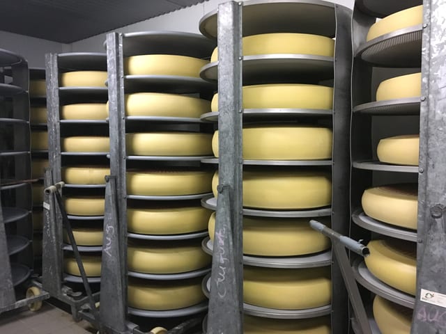 Original Emmentaler Käse im Lagerraum Original Emmentaler Käse im Lagerraum