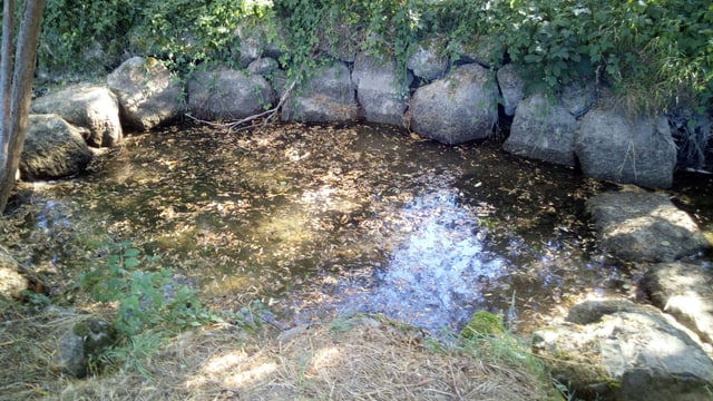 Wasserloch im Bach Giessen in Weinfelden Wasserloch im Bach Giessen in Weinfelden