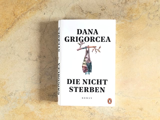 Der Roman «Die nicht sterben» von Dana Grigorcea liegt auf einer Marmorplatte Der Roman «Die nicht sterben» von Dana Grigorcea liegt auf einer Marmorplatte