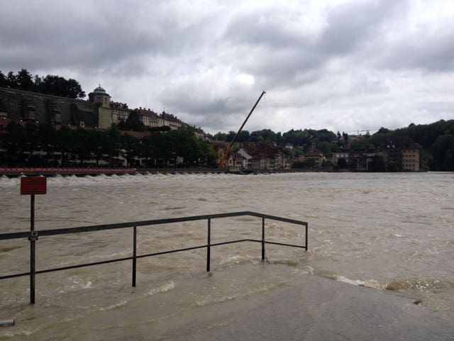 Die Aare führt Hochwasser.