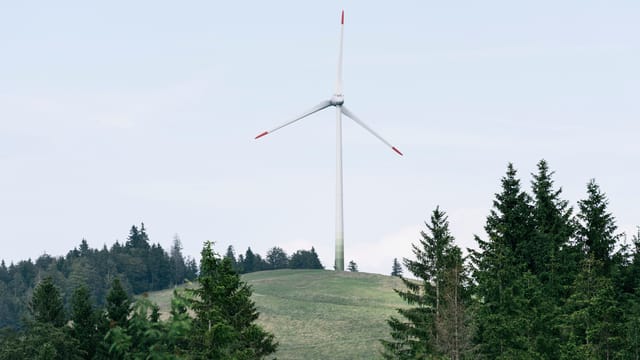 Ein Windrad auf einer grünen Wiese. Ein Windrad auf einer grünen Wiese.
