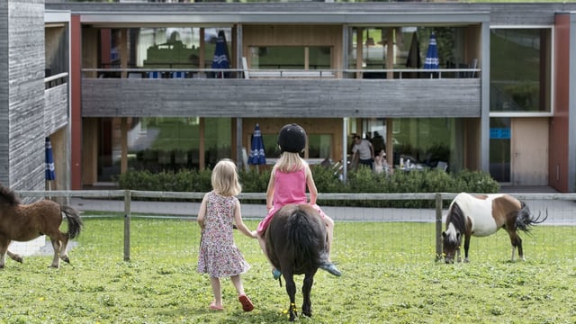 Kinder auf Ponys Kinder auf Ponys