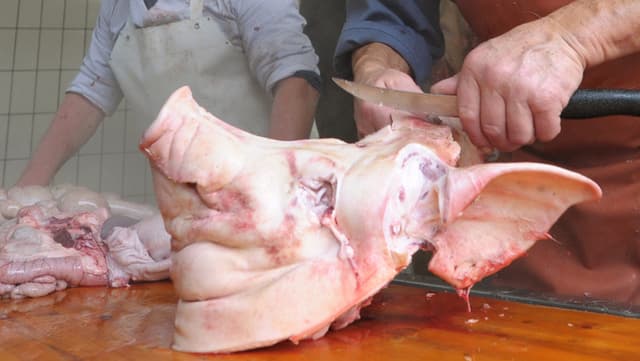 Schweinekopf Schweinekopf
