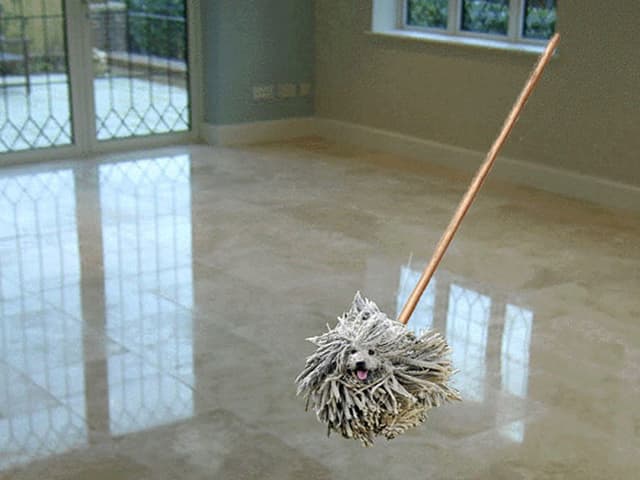 Wischmop-Puli