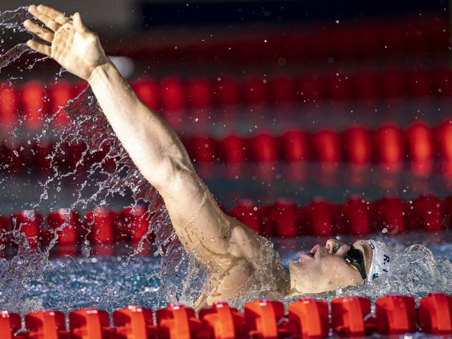 Roman Mityukov. Roman Mityukov.