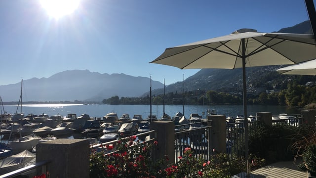 Sonnenschirm in Minusio am Lago Maggiore. Sonnenschirm in Minusio am Lago Maggiore.