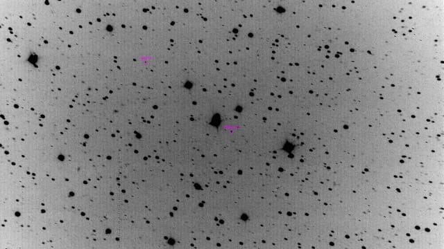 Purtret dals asteroids. Purtret dals asteroids.