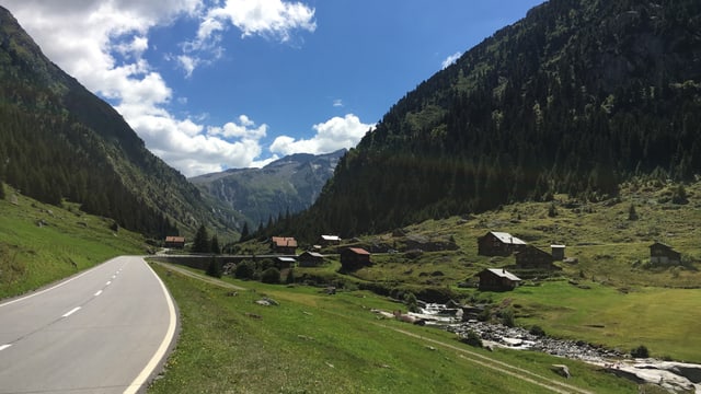 Pardatsch cun vista en Val Cristallina Pardatsch cun vista en Val Cristallina