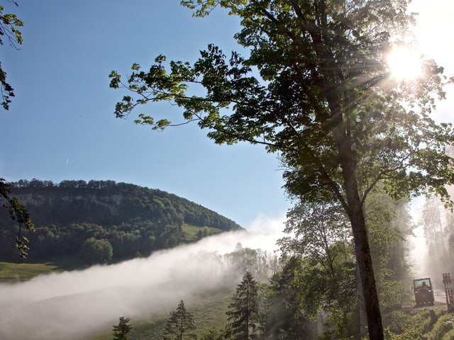 Nebel im Tal, Sonne auf den Bergen.