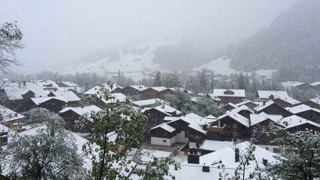 Am Montagmorgen lag Schnee in Saanen. Am Montagmorgen lag Schnee in Saanen.
