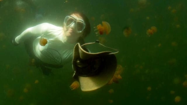Frau mit Taucherbrille unter Wasser. Davor schwebt ein Hut und Quallen. Frau mit Taucherbrille unter Wasser. Davor schwebt ein Hut und Quallen.