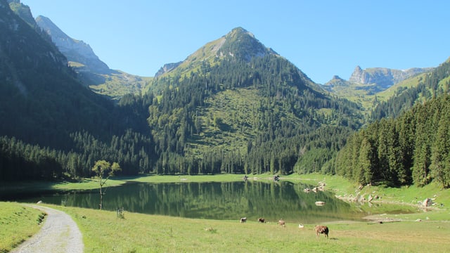 Voralpsee Voralpsee
