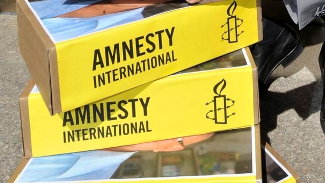  Amnesty International