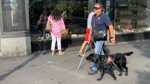 Blindenhund und -Führer gehen der Strasse entlang Blindenhund und -Führer gehen der Strasse entlang