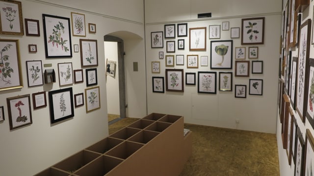 Ausstellungsraum Ausstellungsraum