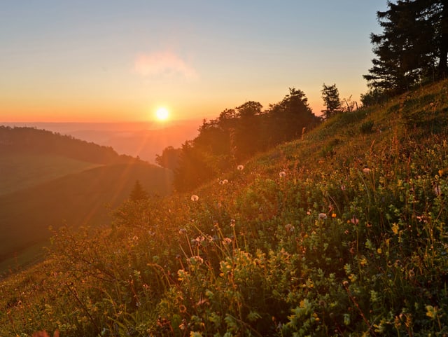 Sonnenaufgang über Hügellandschaft