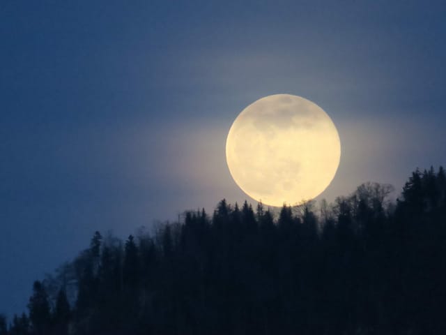 Vollmond