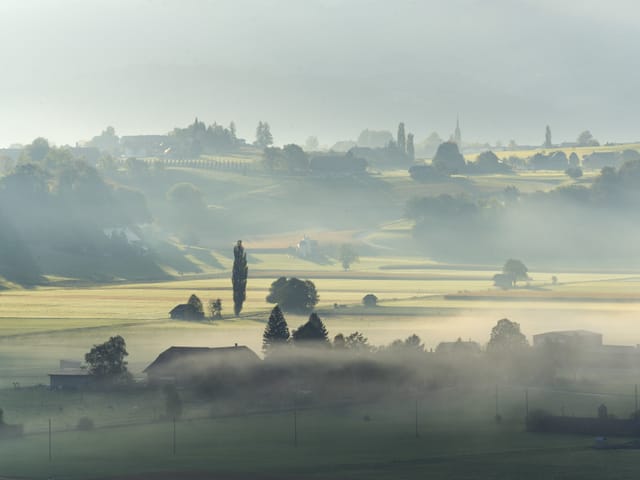 Die Sonne drückt durch die Nebelschwaden über eine Landschaft mit Bäumen und Bauernhäusern.