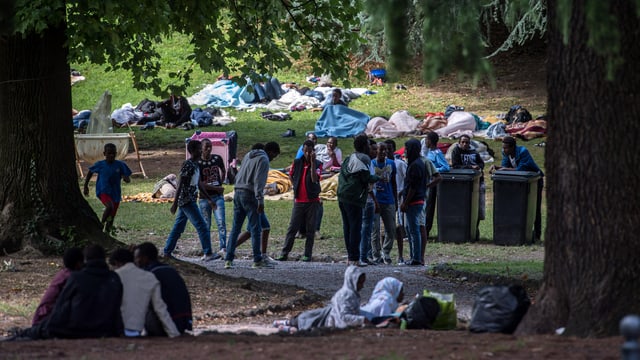 Einige Flüchtlinge in einem Park. Einige Flüchtlinge in einem Park.