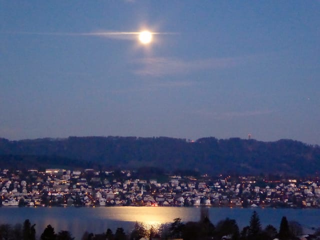 Vollmond über dem nächtlichen Zürichsee. Vollmond über dem nächtlichen Zürichsee.