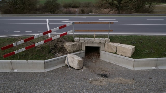 Froschtunnel Froschtunnel