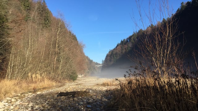 Stahlblauer Himmel und absolut kein Wasser in der Sense. Nach langer Trockenheit im Spätherbst trocknete die Sense komplett aus. Stahlblauer Himmel und absolut kein Wasser in der Sense. Nach langer Trockenheit im Spätherbst trocknete die Sense komplett aus.