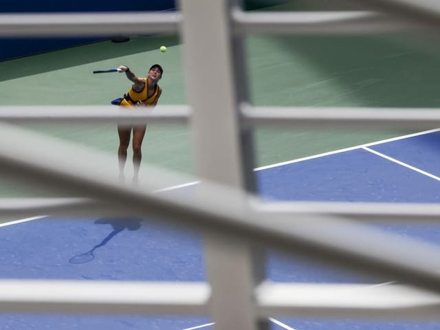 Bencic Bencic