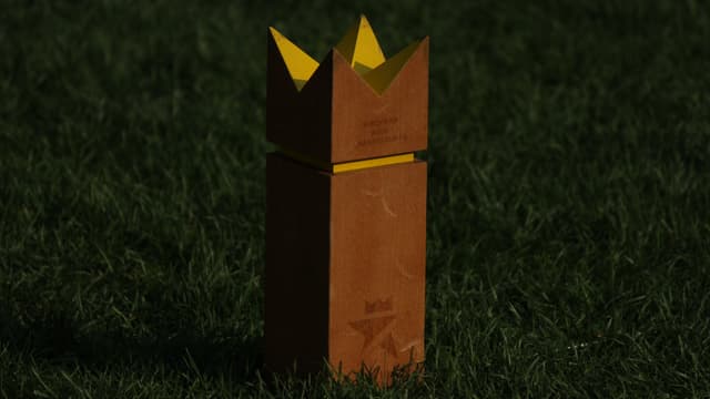 König im Kubb-Spiel König im Kubb-Spiel