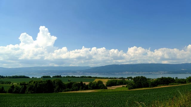 Blick von Cudrefin über den Neuenburgersee Richtung Jura. Blick von Cudrefin über den Neuenburgersee Richtung Jura.