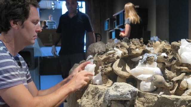 Archäologischer Mitarbeiter packt jungsteinzeitliches Grab aus Verpackung aus. Archäologischer Mitarbeiter packt jungsteinzeitliches Grab aus Verpackung aus.