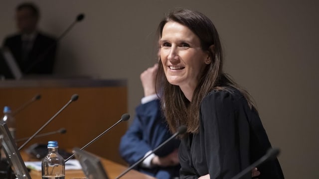 Frau lächelnd an Pult im belgischen Parlament. Frau lächelnd an Pult im belgischen Parlament.