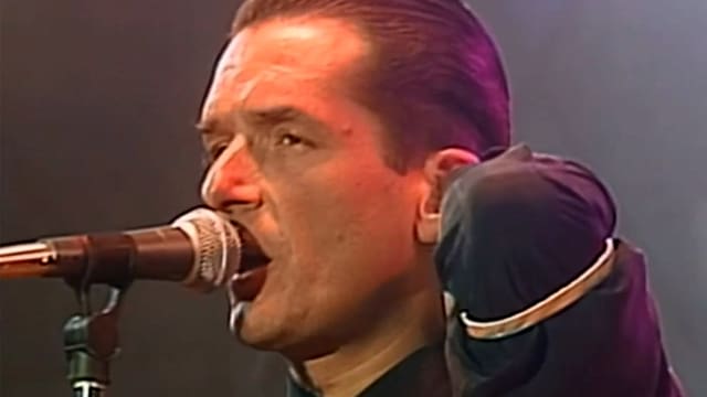 Video «Falco Live - Der Falke ist wieder da» abspielen Video «Falco Live - Der Falke ist wieder da» abspielen