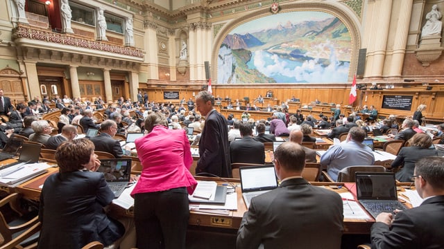 Das Plenum des Nationalrats Das Plenum des Nationalrats