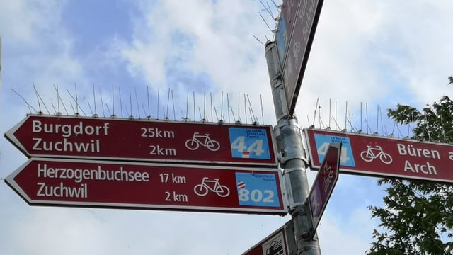 Wegweiser zu Velorouten Wegweiser zu Velorouten