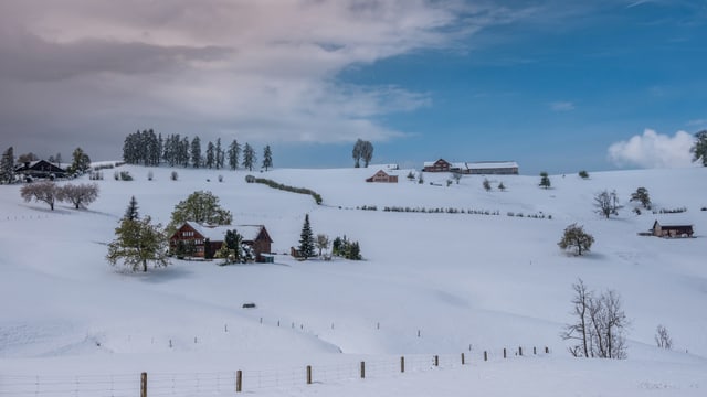 Fast wie eine Appenzeller Bauernmalerei. Fast wie eine Appenzeller Bauernmalerei.