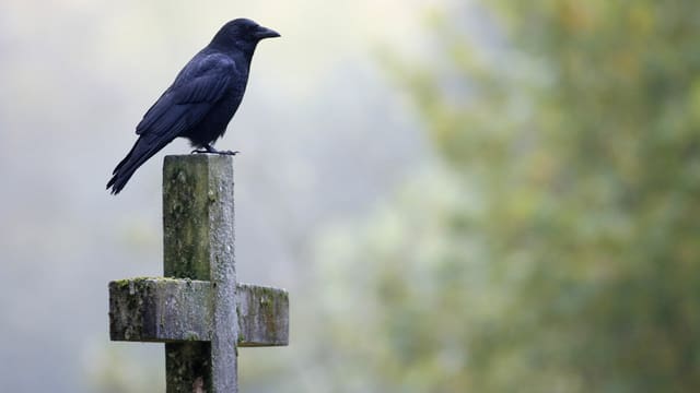Grabkreuz mit Vogel. Grabkreuz mit Vogel.