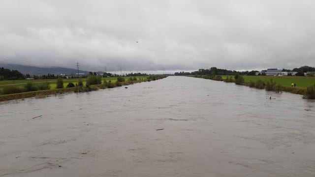 Das Flussbett des Rheins ist bis an die Deichkante voll. Das Flussbett des Rheins ist bis an die Deichkante voll.