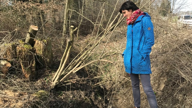 Frau blickt in einen Bachlauf Frau blickt in einen Bachlauf