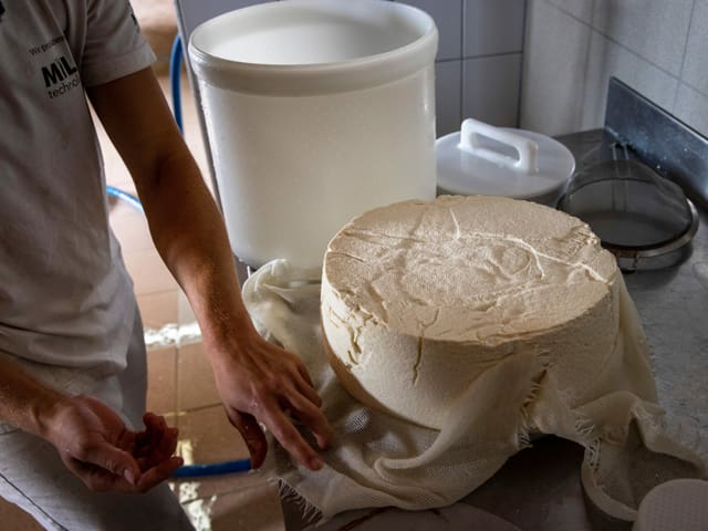 Hat die Masse die gewünschte Festigkeit erreicht, wird sie in Formen abgefüllt. Dann ist der Prozess aber noch lange nicht zu Ende: Der Käse wird über Nacht gepresst, kommt dann für rund 24 Stunden in ein Salzbad und schliesslich in den Keller – je nach Käsetyp unterschiedlich lang.