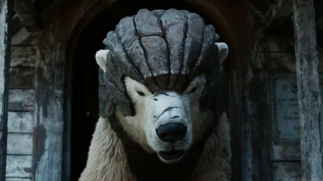 Ein Eisbär mit einem Helm. Ein Eisbär mit einem Helm.