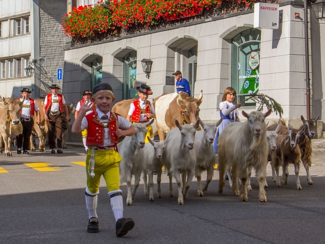 Erste Sennen ziehen bereits von der Alp ab. Erste Sennen ziehen bereits von der Alp ab.