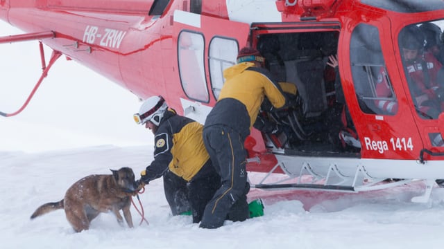 Zwei Retter und ein Lawinenhund vor dem Helikopter Zwei Retter und ein Lawinenhund vor dem Helikopter
