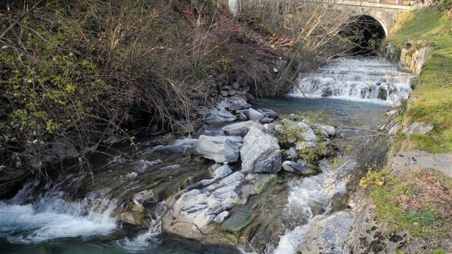 Purtret da l'aual a Trin. Purtret da l'aual a Trin.
