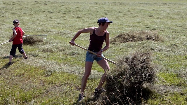 Eine Landwirtin und ein Junge bei der Heuernte. Eine Landwirtin und ein Junge bei der Heuernte.