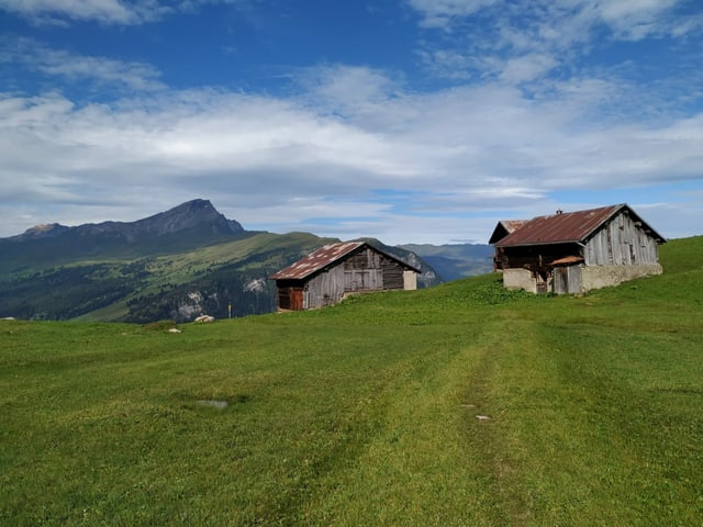Alphütten auf einer weiten Wiese.
